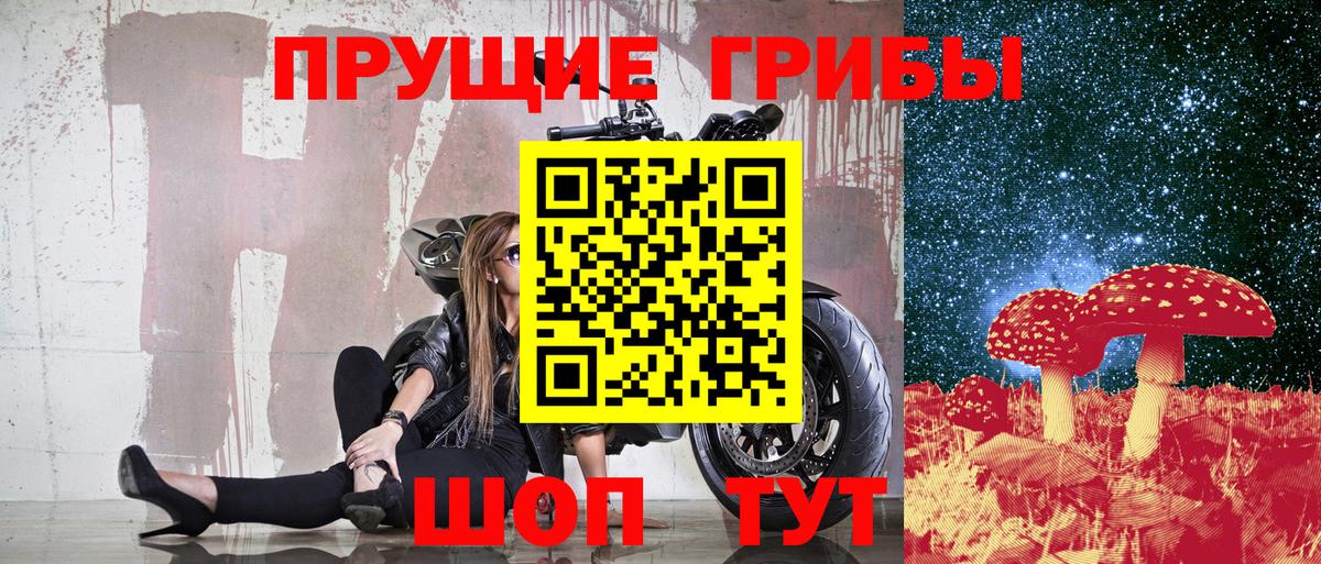 Псилоцибиновые грибы Magic Shrooms Северск