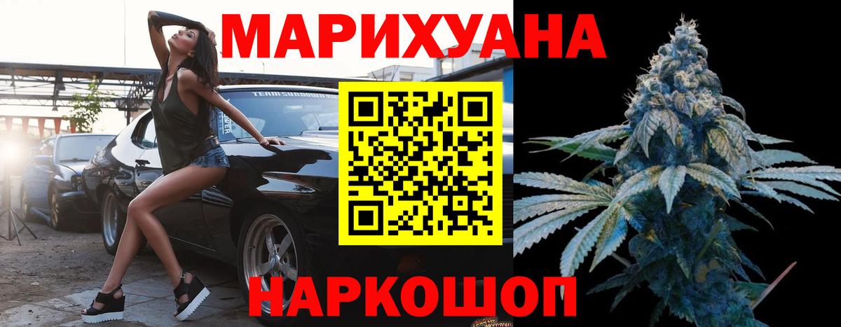 Бошки Шишки семена Северск